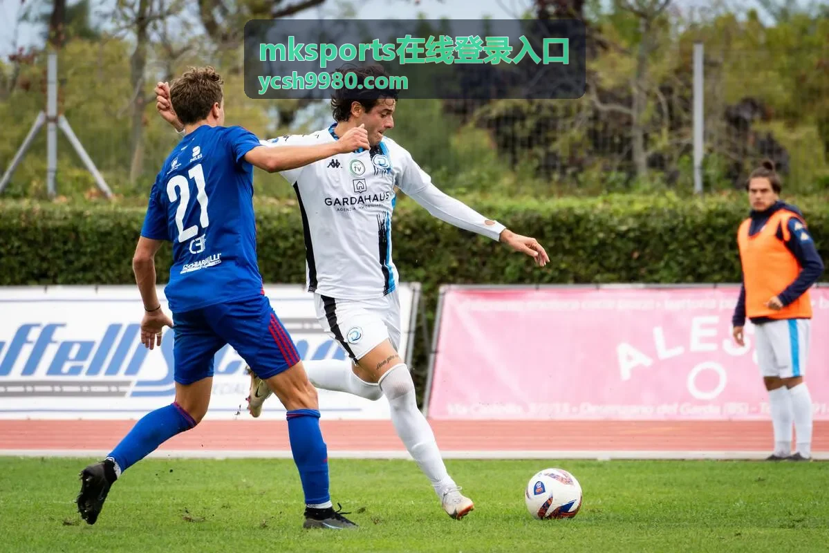 mksports在线登录入口账户安全推荐封面